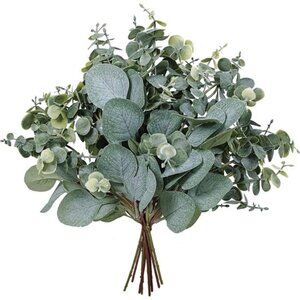New 10 Pcs Mixed Eucalyptus Leaves Stems Bulk Artificial Silver Dollar Picks